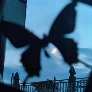 男人舔女人下面视频
